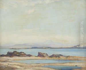 Summer In The Highlands by David Young Cameron