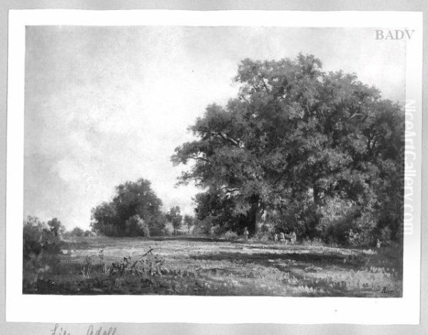 Landschaft - view 1