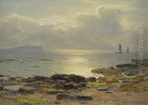 A Sunny Day Near Crail by Duncan Cameron