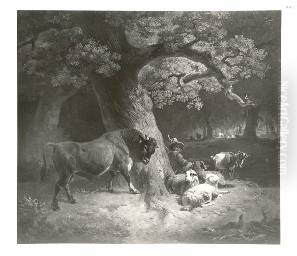 young shepherd frightened by a steer - view 1