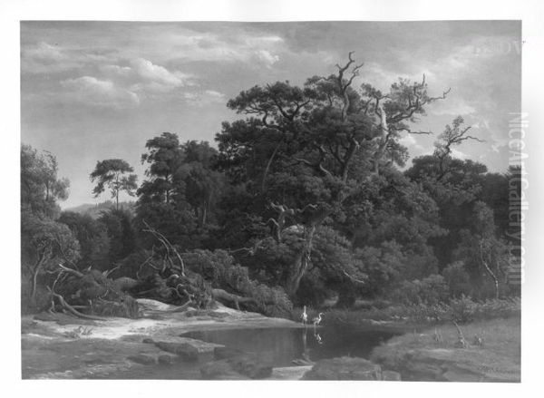 Oak-trees with little pond - view 1