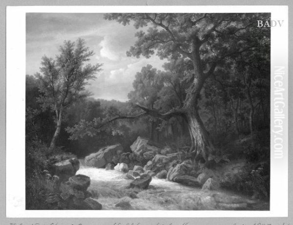 Torrent in the woods - view 1
