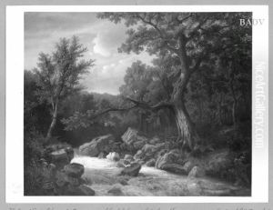 Torrent in the woods