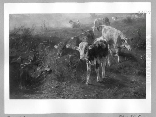 Cows in a meadow - view 1
