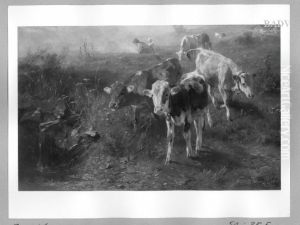 Cows in a meadow