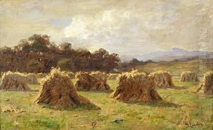 Sunshine On The Sheaves by Duncan Cameron