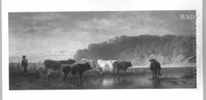 Viehherde am Wasser by Friedrich Voltz
