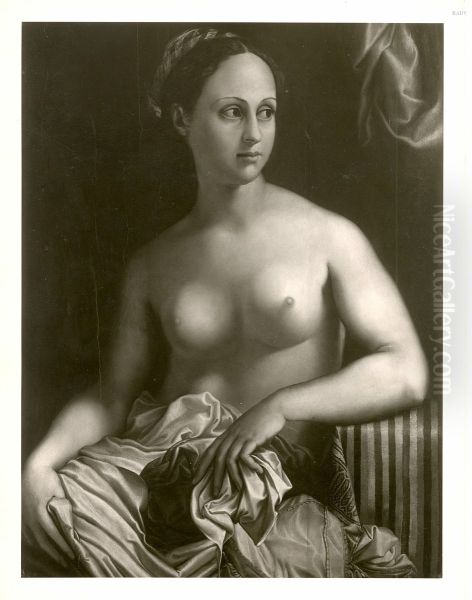 Female nude, half figure - view 1