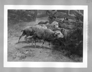 sheep by Heinrich Johann Von Zugel