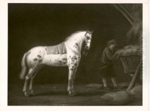 Schimmel im Stall by Aelbert Cuyp