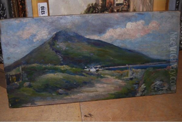 Scottish Coastal Scene - view 1