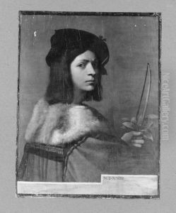 Junglingsbildnis (Der Violinspieler) by Sebastiano Del Piombo