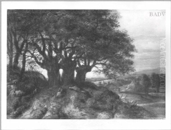 Trees in the evening - view 1