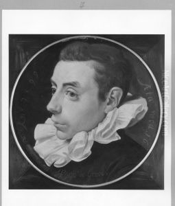 portrait of H. Grotius