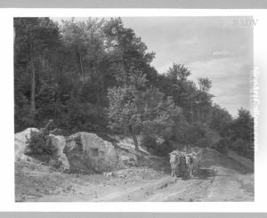 Ochsengespann im Wienerwald by Ferdinand Georg Waldmuller