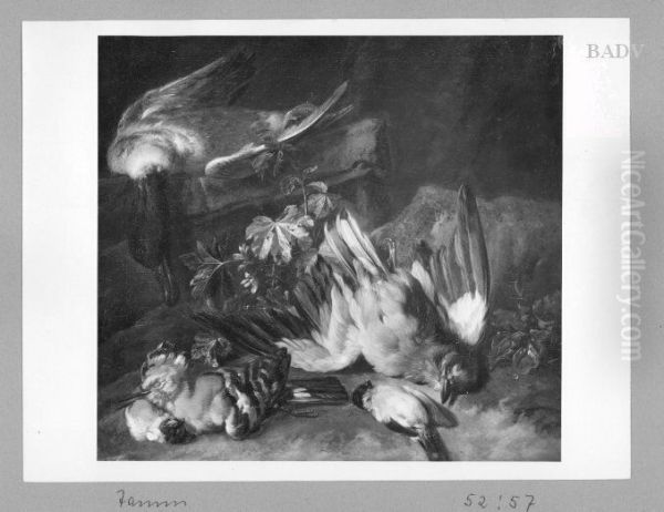Still - Life with dead birds - view 1