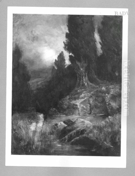 Landschaft - view 1