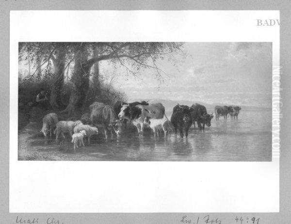 cows + sheep at a lake - view 1