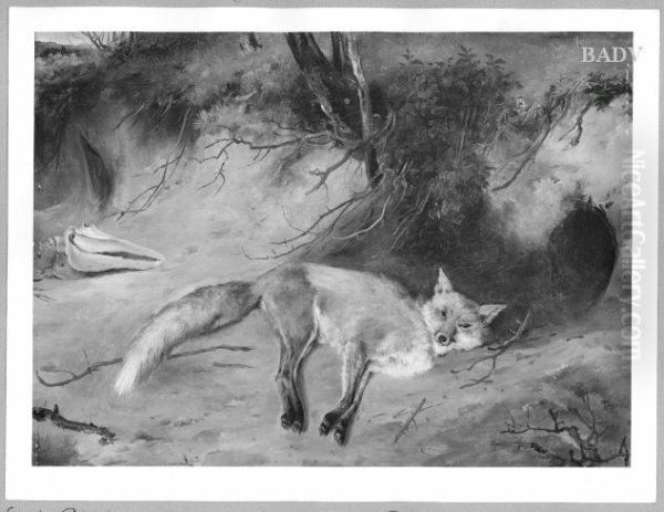 Fuchs vor einem Bau liegend - view 1