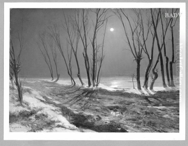 Landstrasse im Winter bei Mondschein - view 1