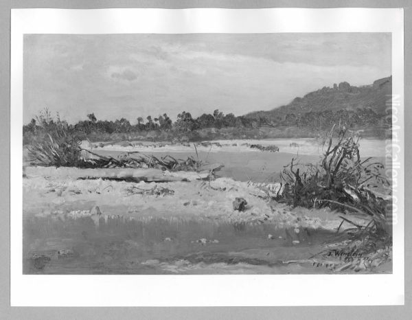 Flusslandschaft - view 1