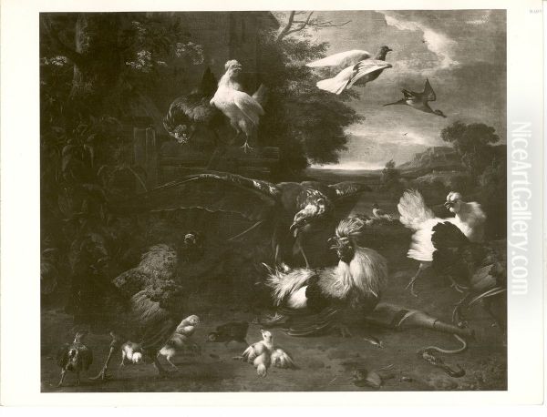 Huhnerhof mit einfallendem Bussard, der einen Hahn schlagt - view 1