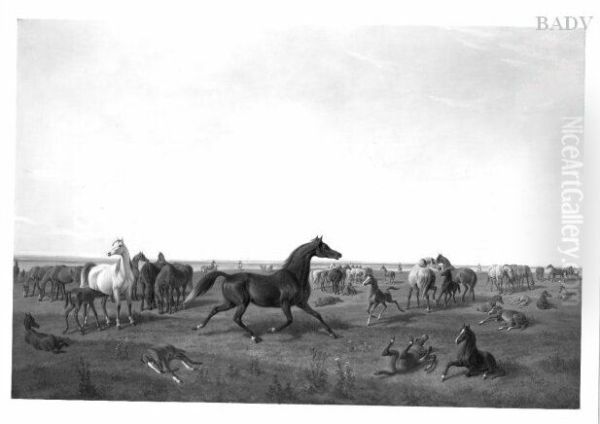 Araberpferde auf der Weide - view 1