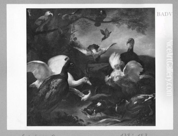 Living poultry - view 1