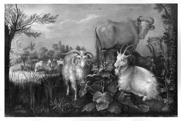cows + goats - view 1