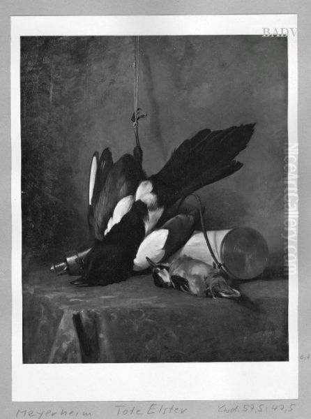 still-life-dead birds - view 1