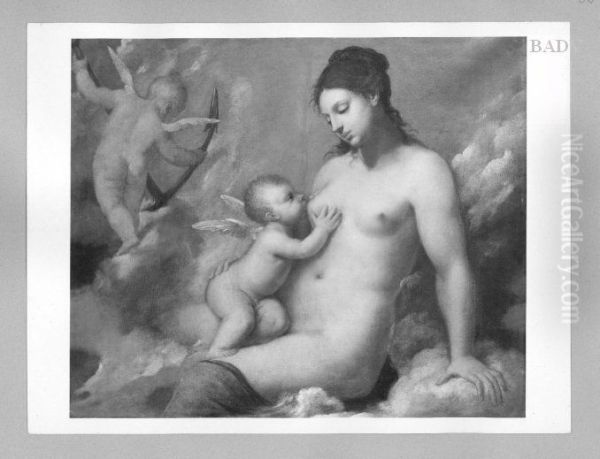 Venus - view 1