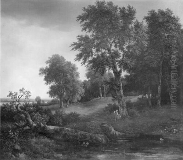 landscape - view 1