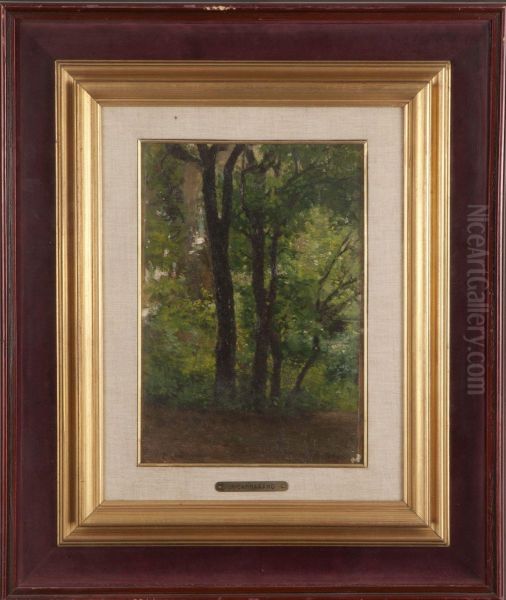 Albero - view 1