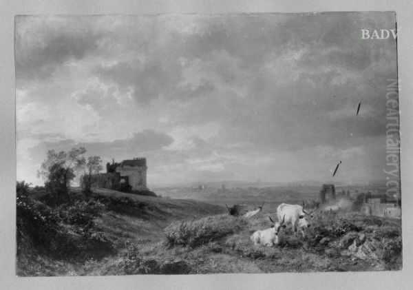 Stiere in der romischen Campagna - view 1