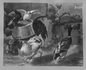 Geflugelhof mit Kaninchen by Jacomo Victors