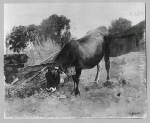 Kuh vor einem Bretterzaun by Hermann Baisch
