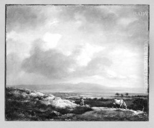 landscape with a white horse