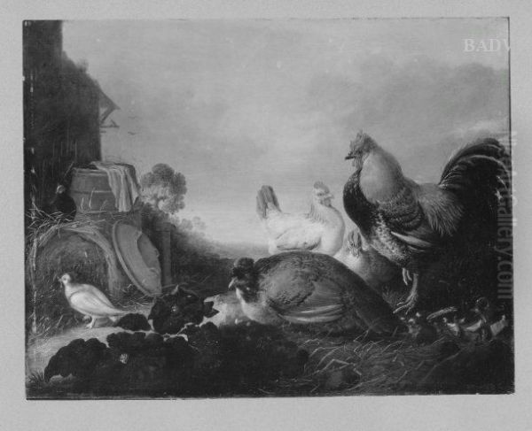 poultry- yard - view 1