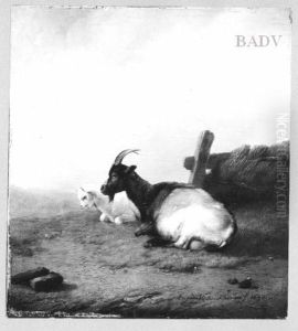 goats goats
