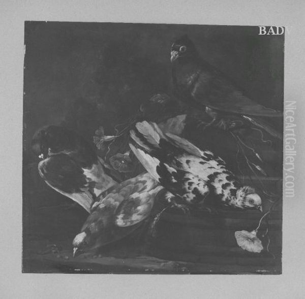 4 Pigeons (Tauben) - view 1
