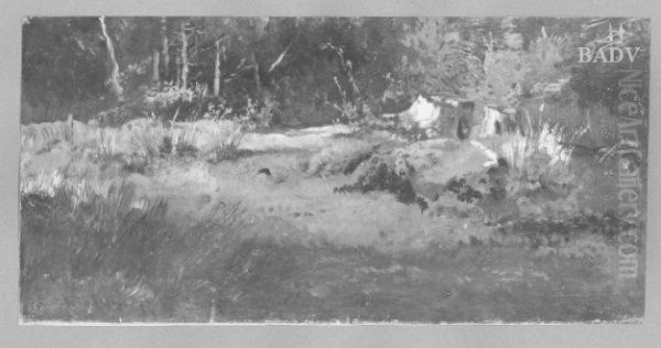 Waldlichtung - view 1