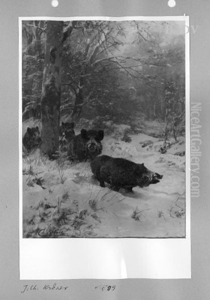 Wildschweine im verschneiten Wald - view 1