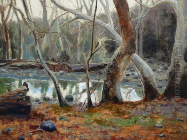 Creek In Winter - view 1
