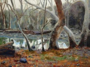 Creek In Winter