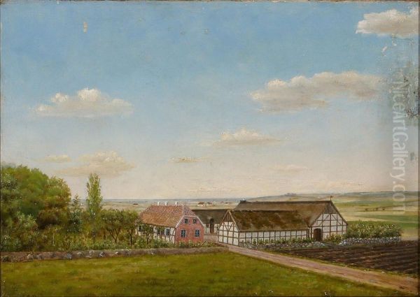 Farm landscape from Jutland, Denmark. - view 1