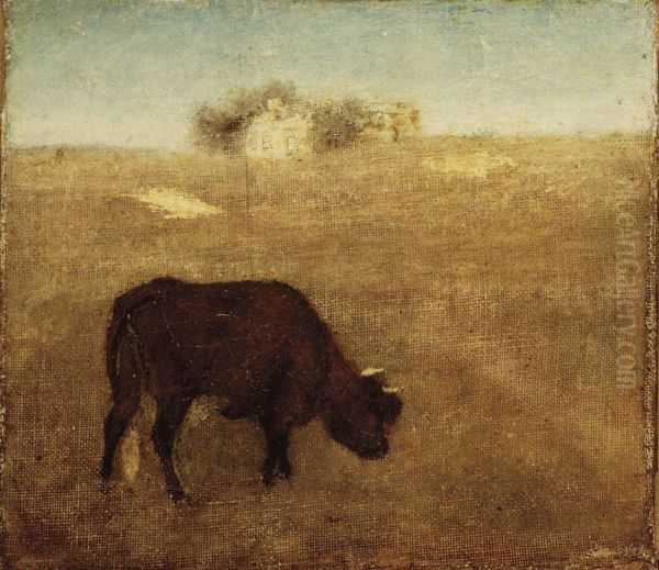 Evening Glow, The Old Red Cow - view 1