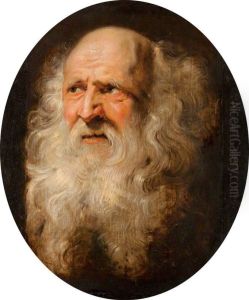 Head study of an old man with a curly beard by (studio of) Rubens, Peter Paul