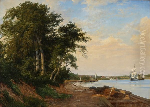 Ships of the coast of Svendborg. - view 1