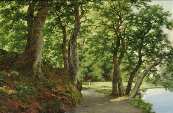Forest scene near a lake. - view 1