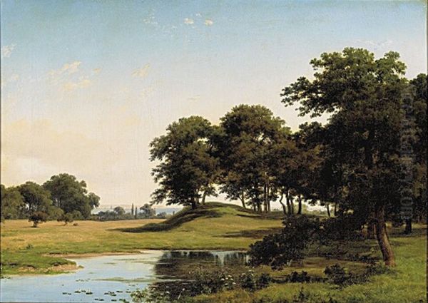 Summer in Dyrehaven, North of Copenhagen. - view 1
